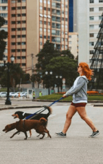 Dog walker