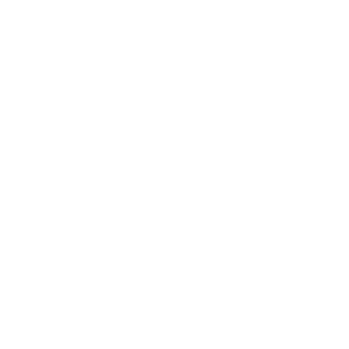 Link do Instagram