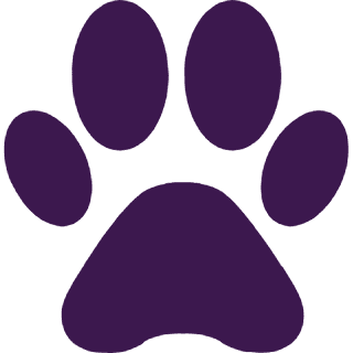 Logo da Pet Boutique