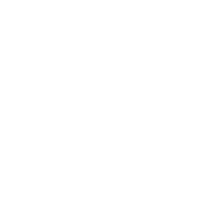 Logo da Pet Boutique